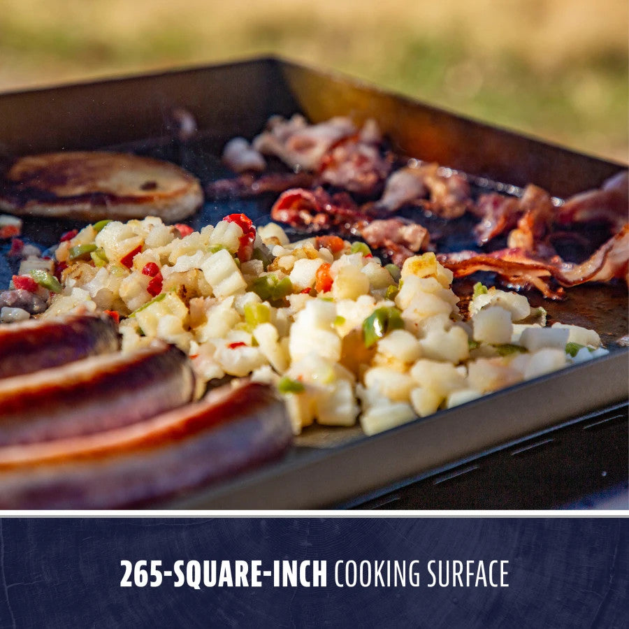 2 Burner Tabletop Griddle w/ Cover