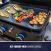 2-Burner Ultimate Lift-Off Griddle