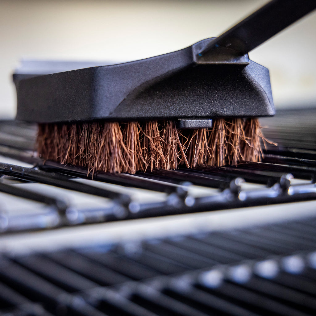 Palmyra Cleaning Brush