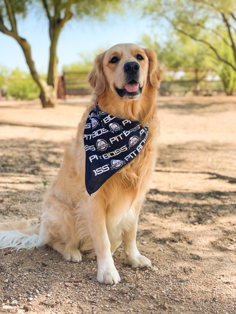 Blue bandana with white text and logo, worn by a golden retriever outdoors.
