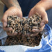 Pellet fuel mix in hands, showcasing various colors and sizes.